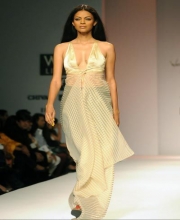 Wendell Rodricks's Collection